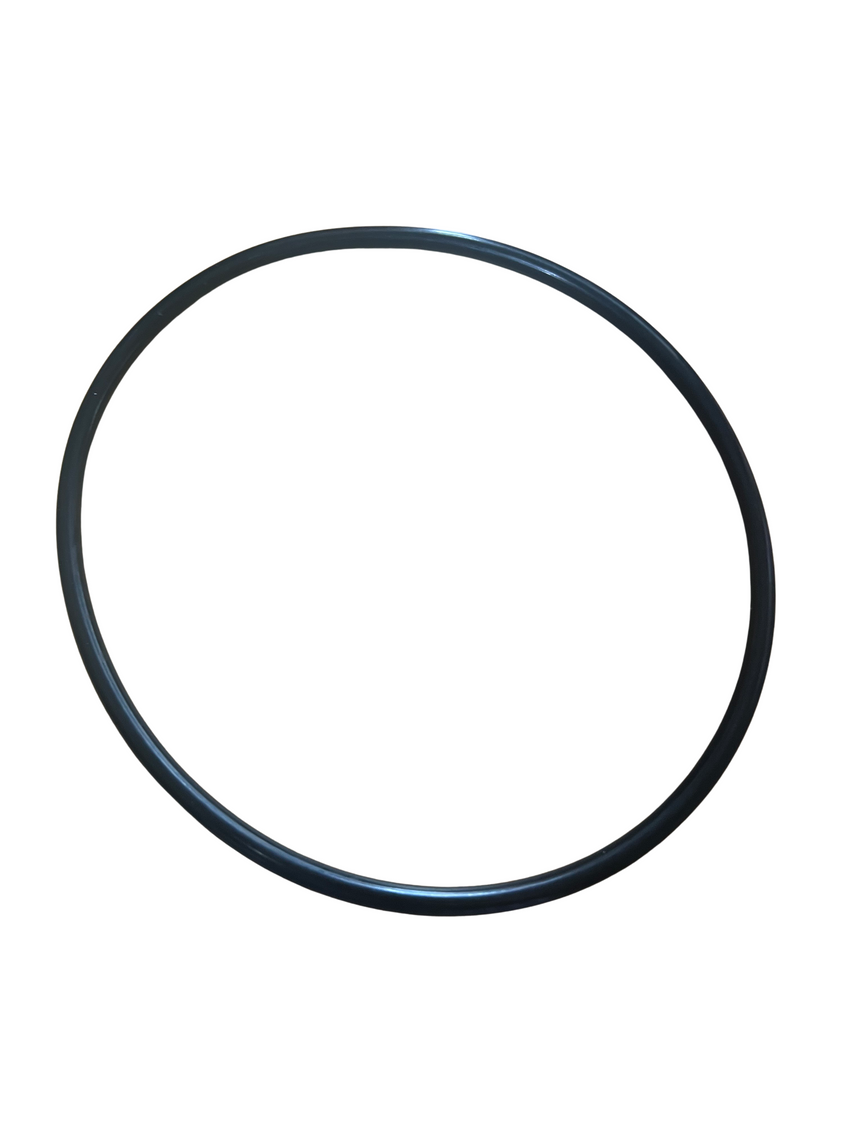 Big Blue - WS O'Ring