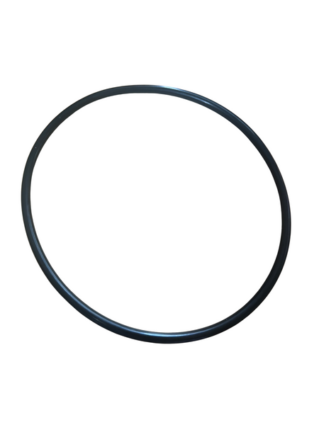 Big Blue - WS O'Ring