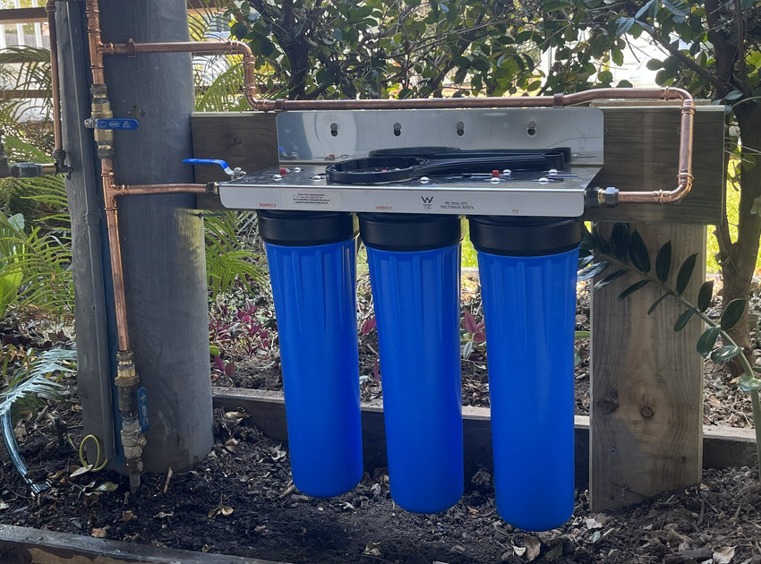 WFW Anti-Scale Removal